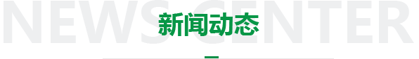 新闻动态